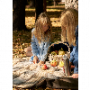Шотландский шерстяной плед с непромокаемой подкладкой и подушка Picnic McKellar 