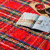 Шерстяной шотландский плед с непромокаемой подкладкой Picnic - Royal Stewart