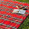 Шерстяной шотландский плед с непромокаемой подкладкой Picnic - Royal Stewart